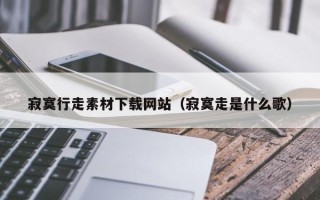 安顺寂寞行走素材下载网站（寂寞走是什么歌）